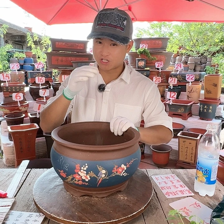 紫砂20CM（含）-50CM（不含）