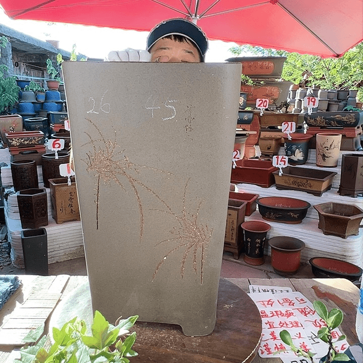 紫砂20CM（含）-50CM（不含）