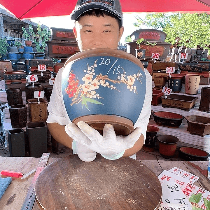 紫砂20CM（含）-50CM（不含）