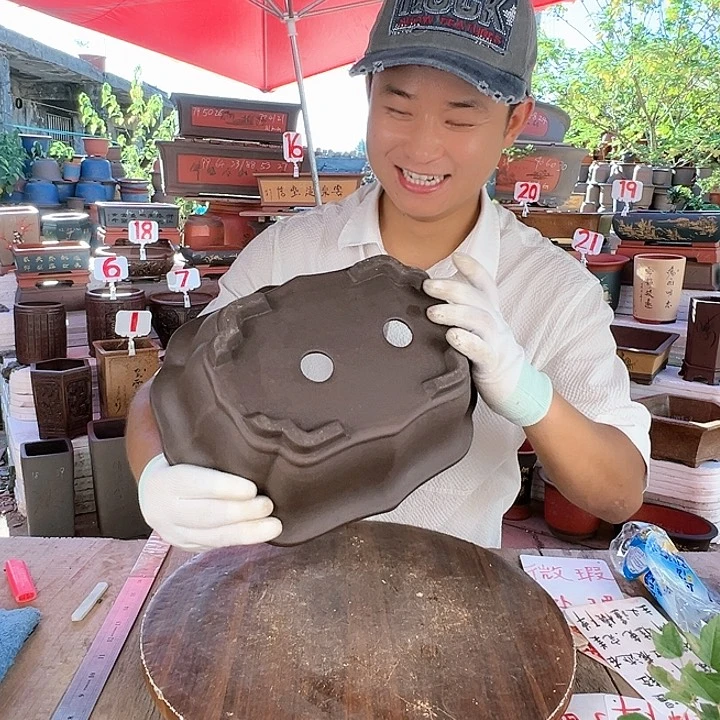 紫砂20CM（含）-50CM（不含）