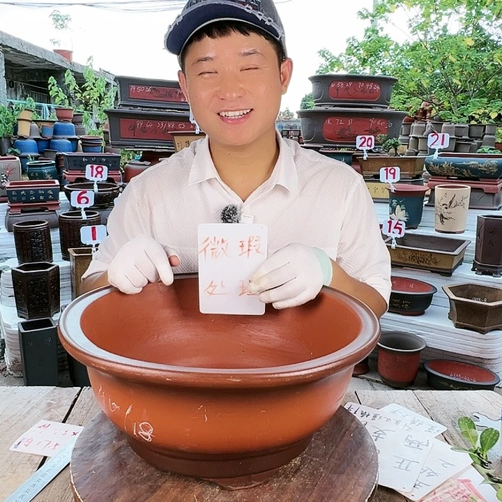 紫砂20CM（含）-50CM（不含）