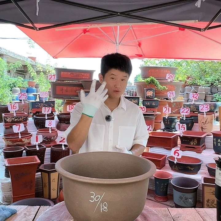 紫砂20CM（含）-50CM（不含）