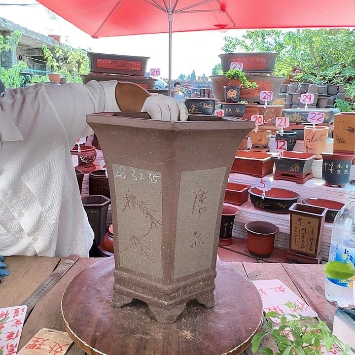 紫砂20CM（含）-50CM（不含）