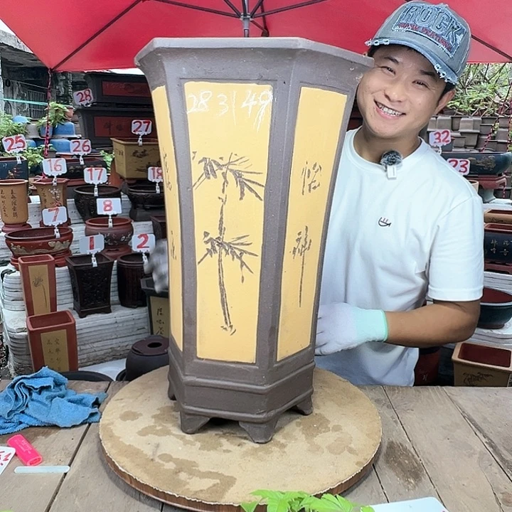 紫砂20CM（含）-50CM（不含）
