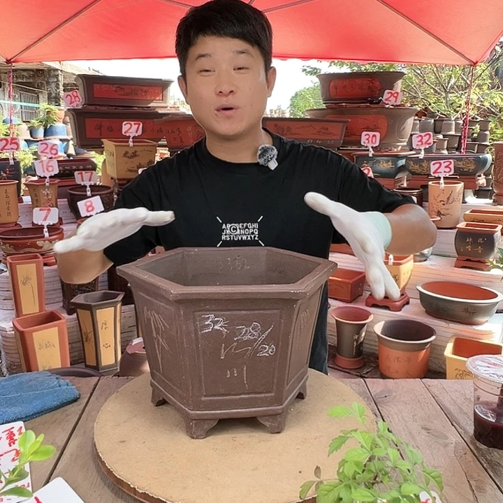 紫砂20CM（含）-50CM（不含）