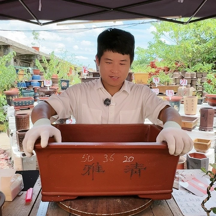 紫砂20CM（含）-50CM（不含）
