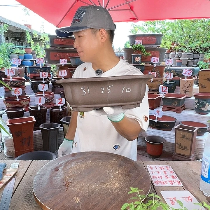 紫砂20CM（含）-50CM（不含）
