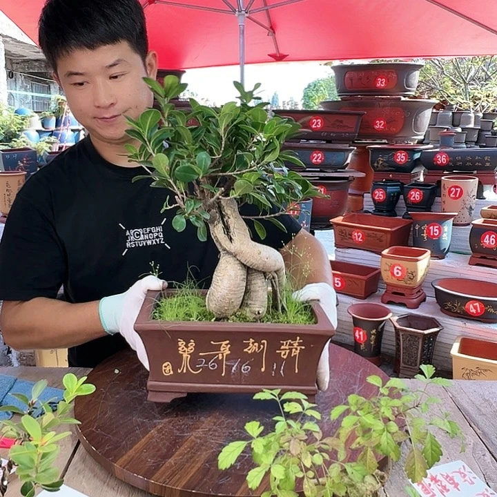 紫砂源头工厂直发