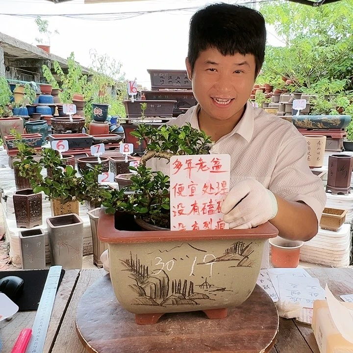 紫砂20CM（含）-50CM（不含）