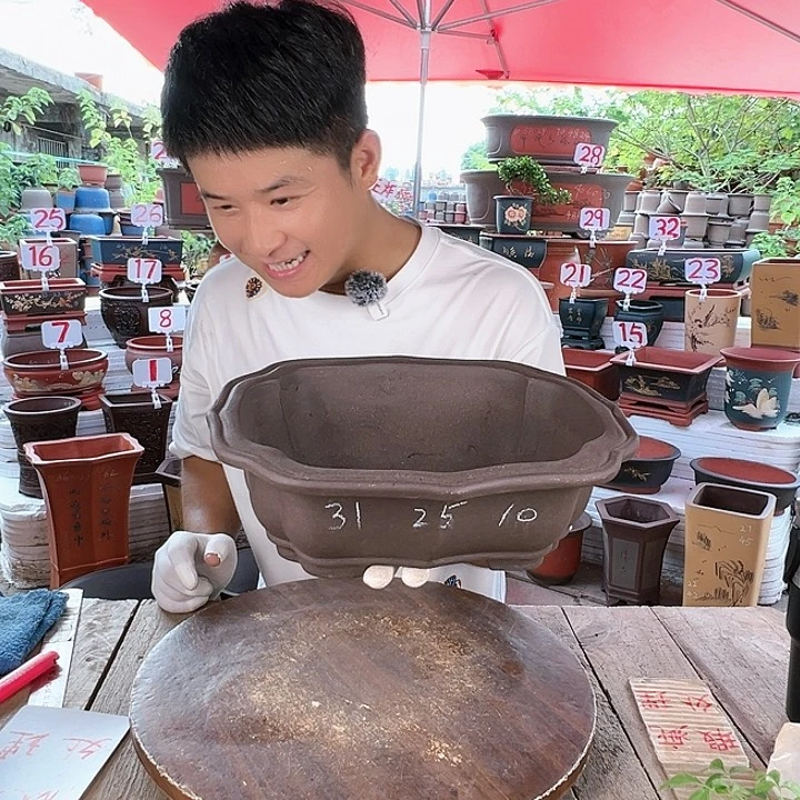 紫砂20CM（含）-50CM（不含）