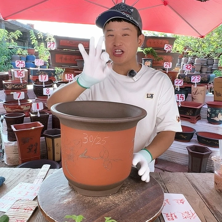 紫砂20CM（含）-50CM（不含）