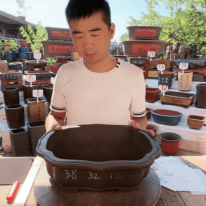 紫砂20CM（含）-50CM（不含）