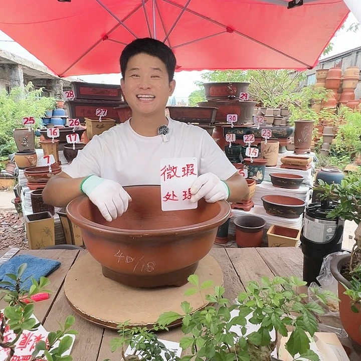 紫砂20CM（含）-50CM（不含）