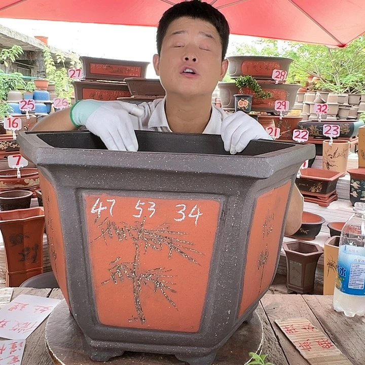 紫砂20CM（含）-50CM（不含）
