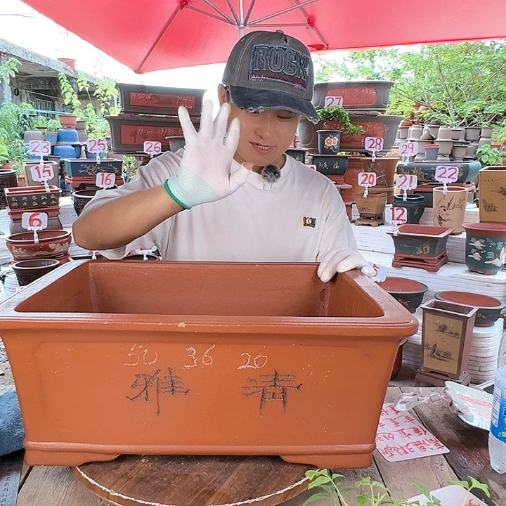 紫砂20CM（含）-50CM（不含）
