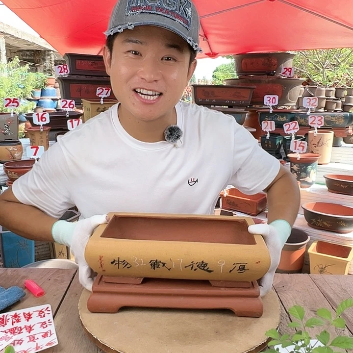 紫砂20CM（含）-50CM（不含）