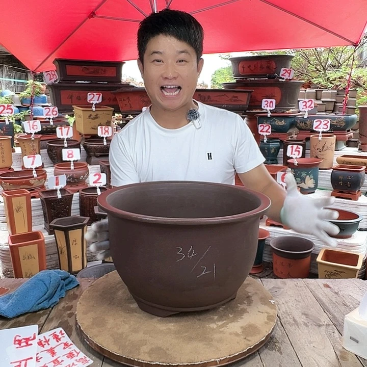 紫砂20CM（含）-50CM（不含）