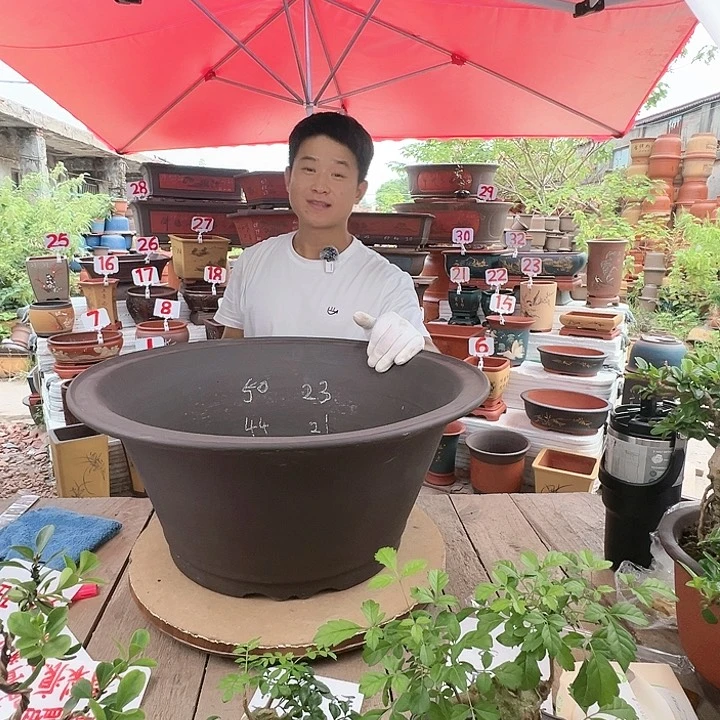 紫砂20CM（含）-50CM（不含）