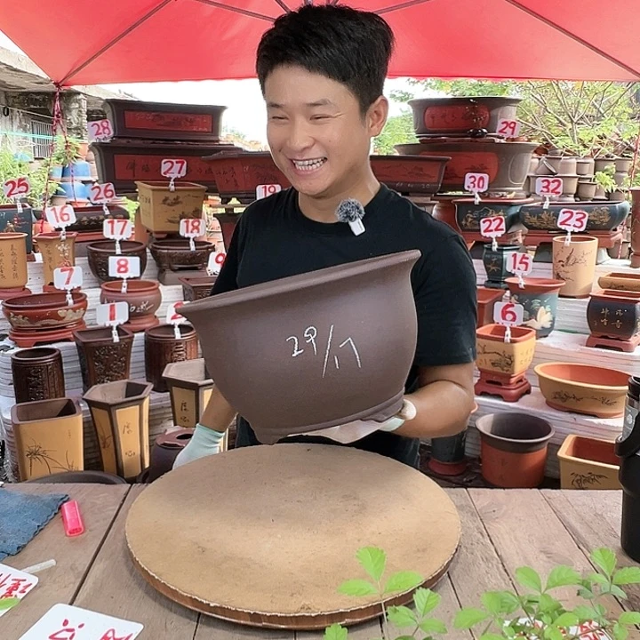 紫砂20CM（含）-50CM（不含）