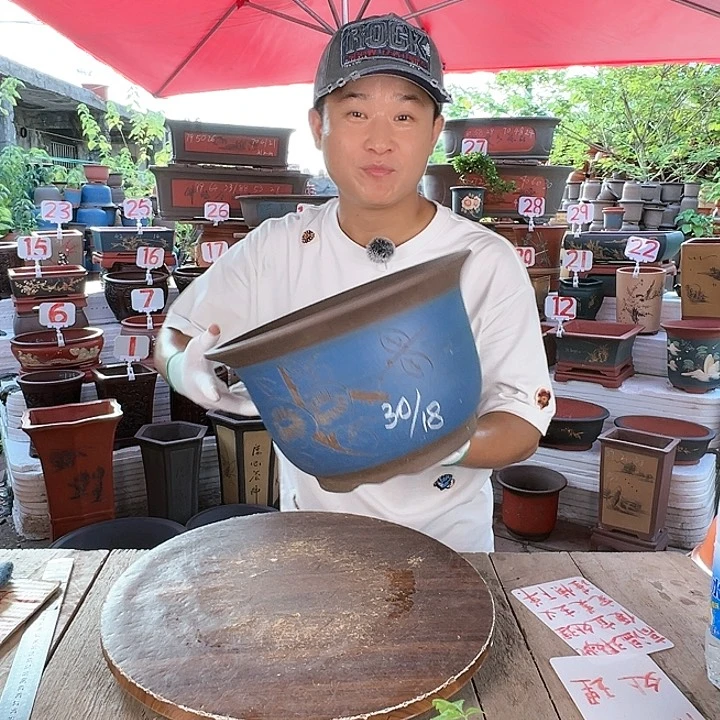 紫砂20CM（含）-50CM（不含）