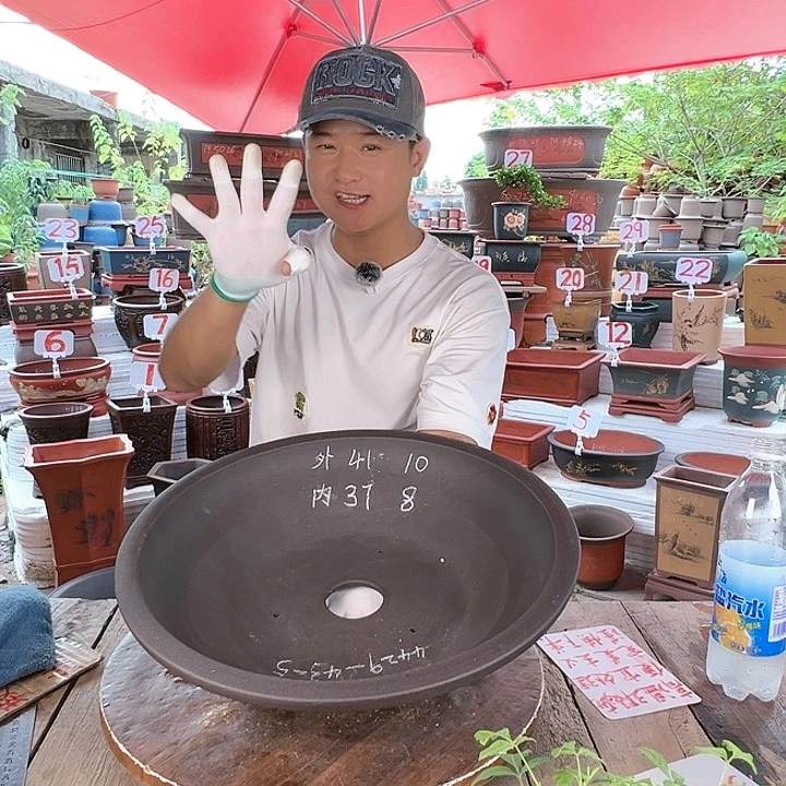 紫砂20CM（含）-50CM（不含）