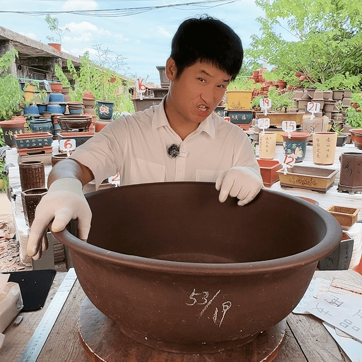 紫砂20CM（含）-50CM（不含）