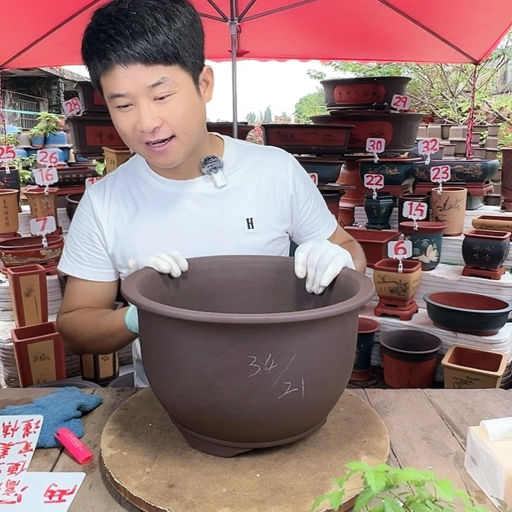 紫砂20CM（含）-50CM（不含）