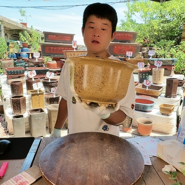 紫砂20CM（含）-50CM（不含）