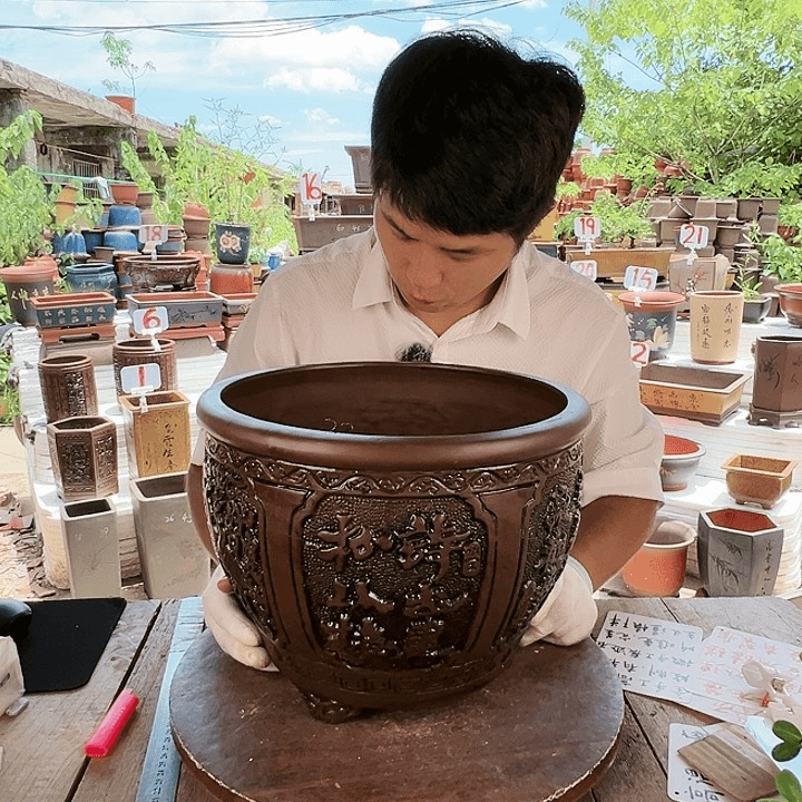 紫砂20CM（含）-50CM（不含）