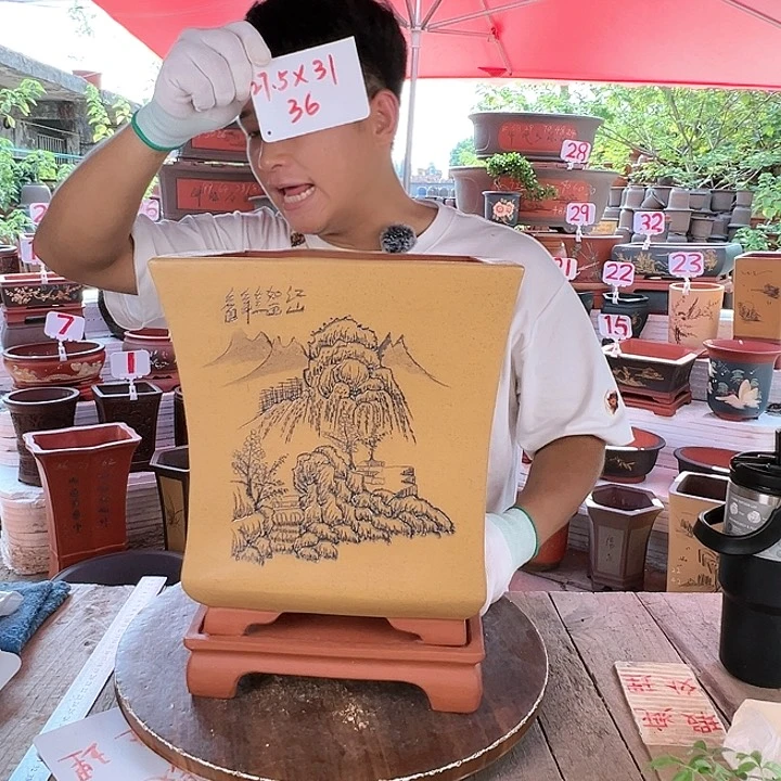 紫砂20CM（含）-50CM（不含）