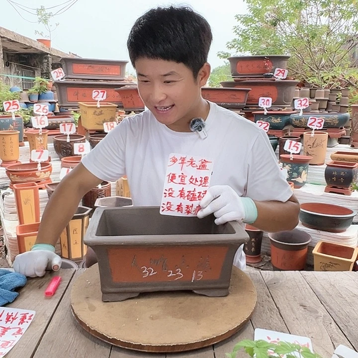 紫砂20CM（含）-50CM（不含）