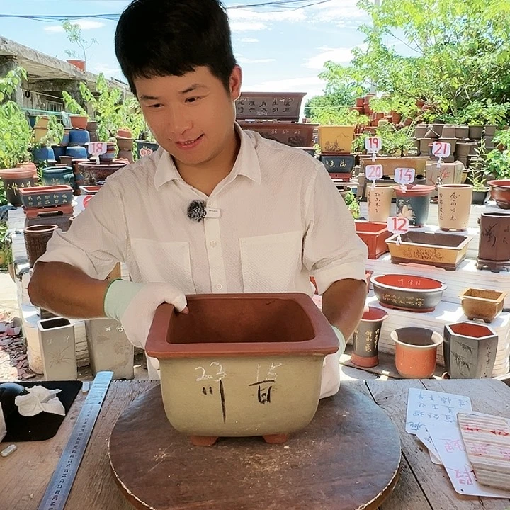 紫砂20CM（含）-50CM（不含）