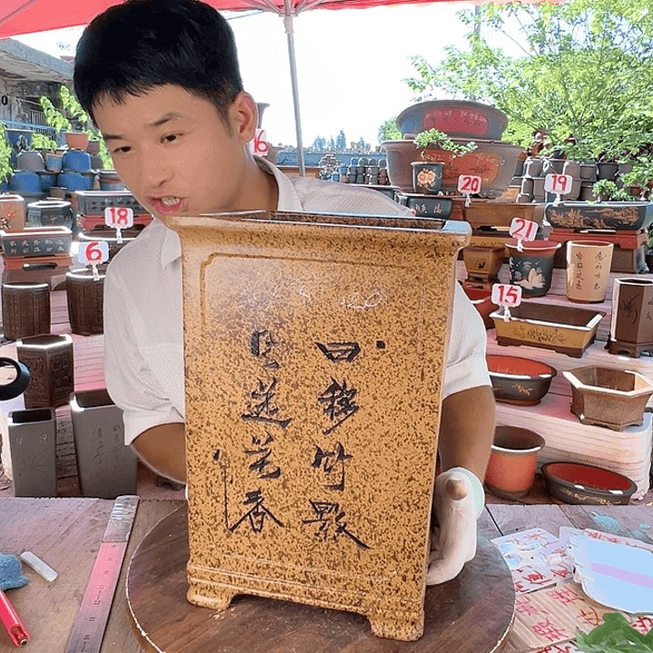 紫砂20CM（含）-50CM（不含）