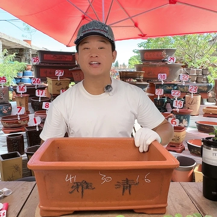 紫砂20CM（含）-50CM（不含）