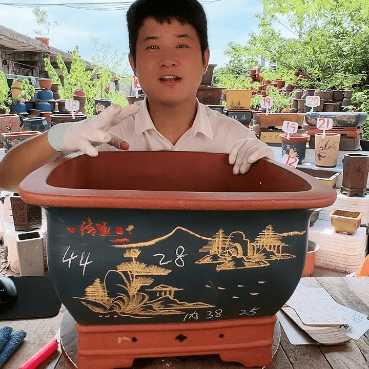 紫砂20CM（含）-50CM（不含）