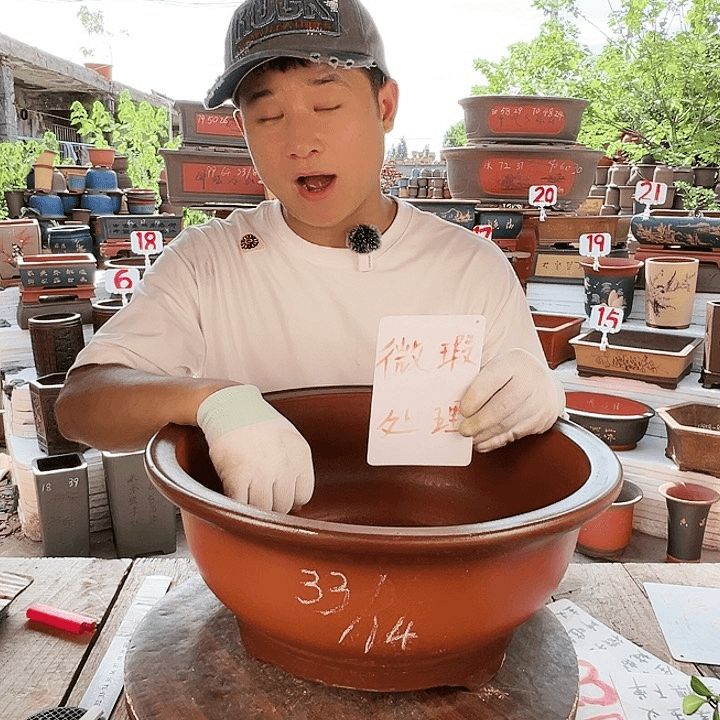 紫砂20CM（含）-50CM（不含）