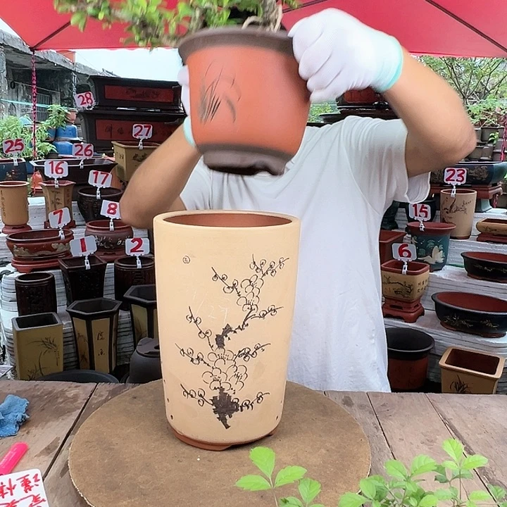 紫砂20CM（含）-50CM（不含）