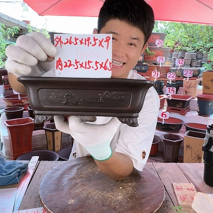 紫砂20CM（含）-50CM（不含）