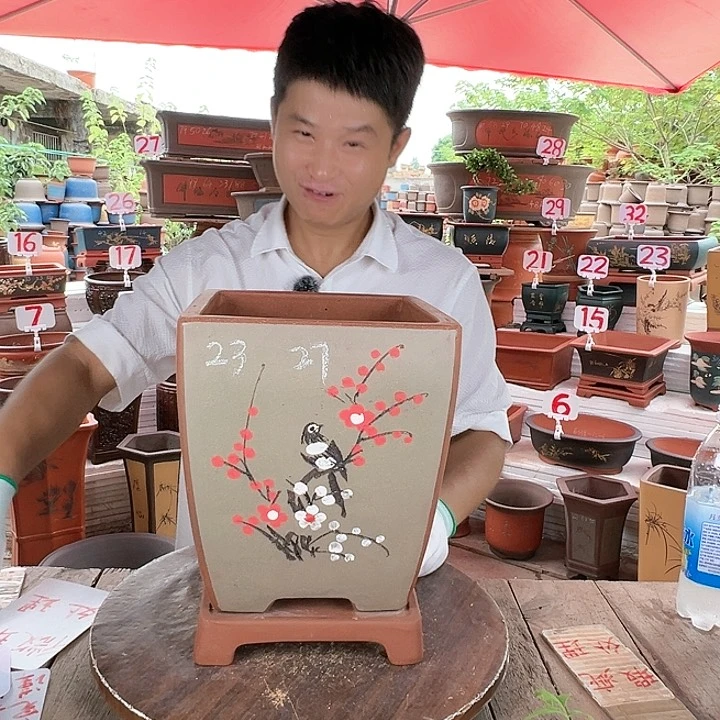 紫砂20CM（含）-50CM（不含）
