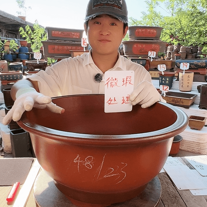 紫砂20CM（含）-50CM（不含）