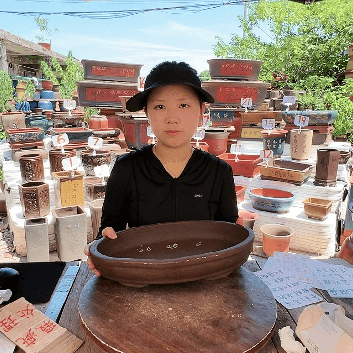 紫砂20CM（含）-50CM（不含）