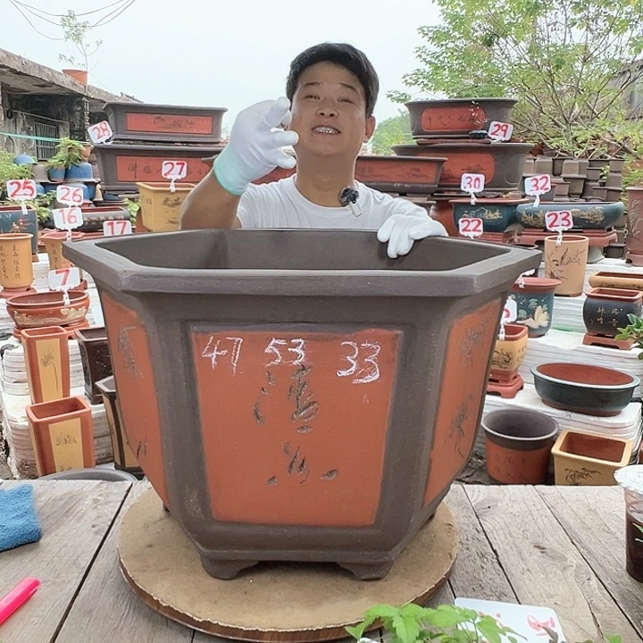 紫砂20CM（含）-50CM（不含）