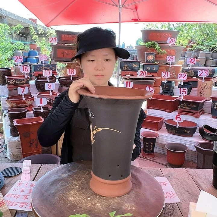 紫砂20CM（含）-50CM（不含）