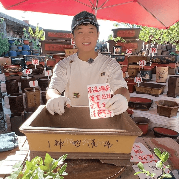 紫砂20CM（含）-50CM（不含）
