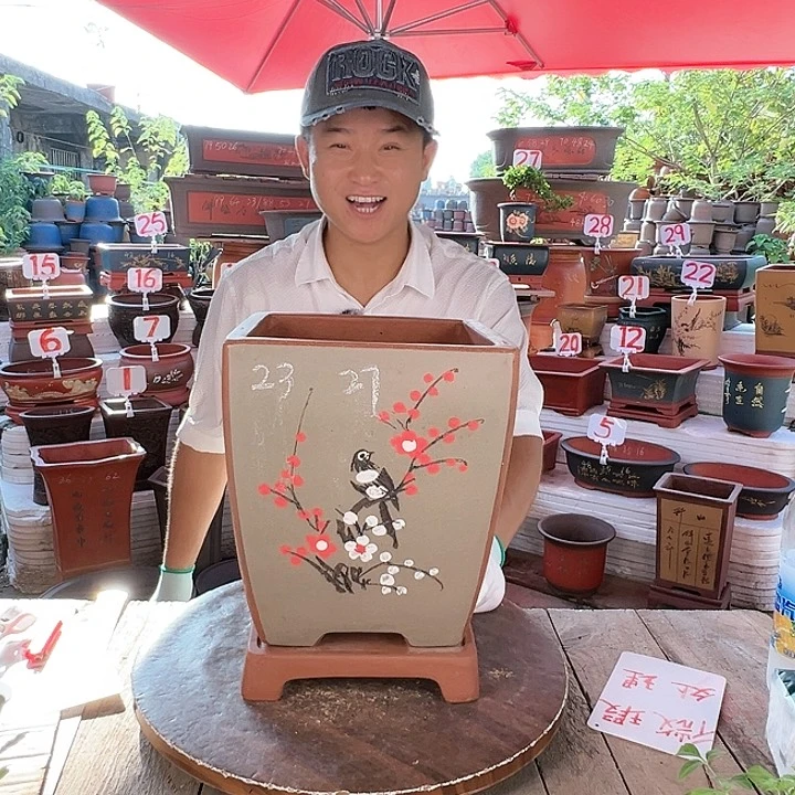 紫砂20CM（含）-50CM（不含）