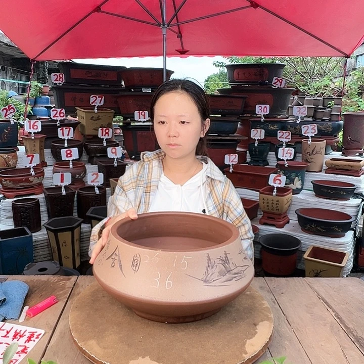 紫砂20CM（含）-50CM（不含）