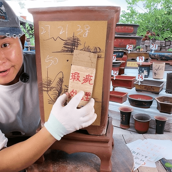 紫砂20CM（含）-50CM（不含）