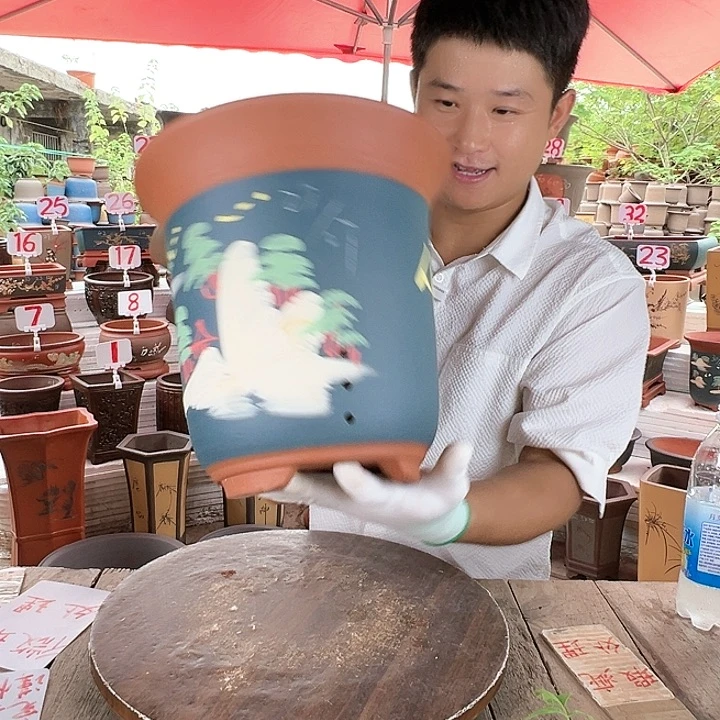 紫砂20CM（含）-50CM（不含）