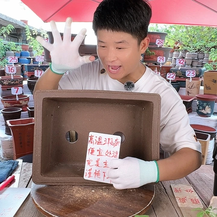 紫砂20CM（含）-50CM（不含）