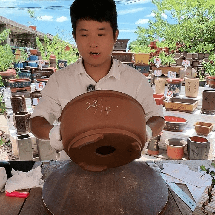 紫砂20CM（含）-50CM（不含）